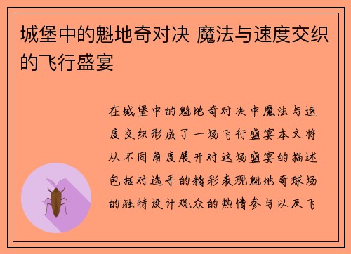 城堡中的魁地奇对决 魔法与速度交织的飞行盛宴